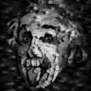 Meet your Posher, Crazy